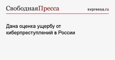 Юрий Жданов - Дана оценка ущербу от киберпреступлений в России - svpressa.ru - Россия