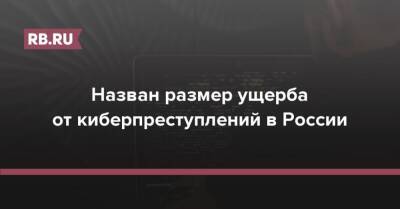 Юрий Жданов - Назван размер ущерба от киберпреступлений в России - rb.ru - Россия