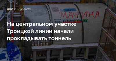 Андрей Бочкарев - На центральном участке Троицкой линии начали прокладывать тоннель - mos.ru - Москва