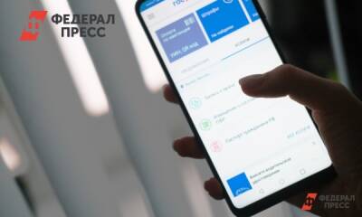 Михаил Мишустин - «Госуслуги» начнут запрашивать подтверждение входа - fedpress.ru - Москва - Россия