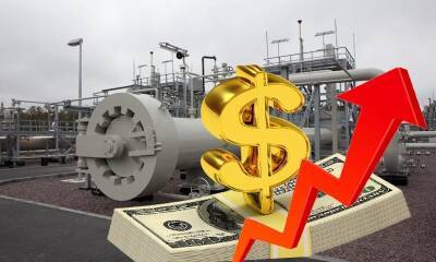 Скачок цен на газ на мировых рынках обернется снижением уровня жизни россиян - bloknot.ru - Россия - Германия