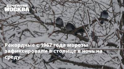 Евгений Тишковец - Мороз - Рекордные с 1967 года морозы зафиксировали в столице в ночь на среду - vm.ru - Москва - Россия - Московская обл. - Москва