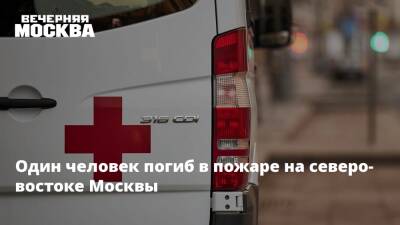 Один человек погиб в пожаре на северо-востоке Москвы - vm.ru - Москва - Москва