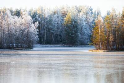 Воронежцев предупредили о смертельной опасности выхода на лед городского водохранилища - vrn.mk.ru