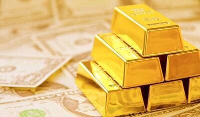 Анатолий Аксаков - Госдума решила выяснить причины рекордного вывоза золота из России - newizv.ru - Россия