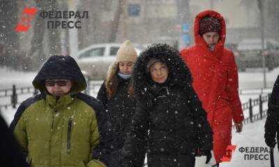 Полина Зиновьева - Температура воздуха в Ленобласти 22 декабря упадет до –30 градусов - fedpress.ru - Ленинградская обл. - Санкт-Петербург