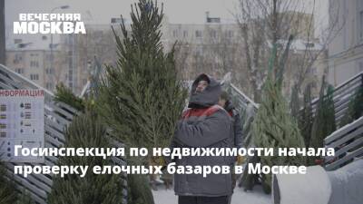 Владислав Овчинский - Госинспекция по недвижимости начала проверку елочных базаров в Москве - vm.ru - Москва - Москва