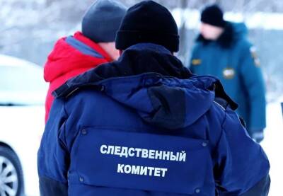 На Ямале два вахтовика получили 10 и 15 лет за убийство коллеги - znak.com - Россия - окр. Янао