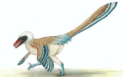 Ученые открыли новый вид динозавра-птицы - korrespondent.net - Украина - Англия - Великобритания