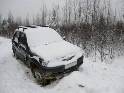 Полицейский спас заблудившегося охотника в лесу Семеновского района - vgoroden.ru - Россия - Нижегородская обл.