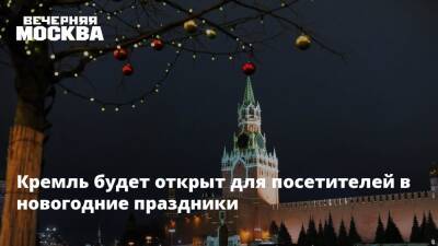 Елена Крылова - Кремль будет открыт для посетителей в новогодние праздники - vm.ru - Москва - Россия - Москва