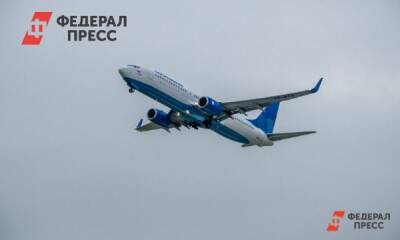 Из-за снегопада пять авиарейсов из Перми отправили в другие города - fedpress.ru - Москва - Санкт-Петербург - Сочи - Екатеринбург - Уфа - Пермь - Нижнекамск
