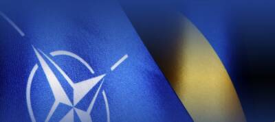 В ОПЗЖ заявили, что курс Украины в НАТО был политической ошибкой и может привести к катастрофе - politeka.net - Россия - США - Украина