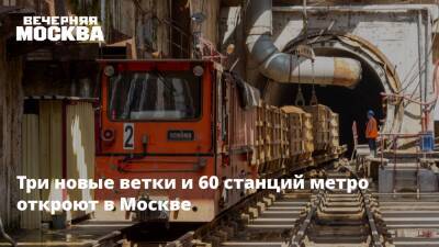 Сергей Собянин - Три новые ветки и 60 станций метро откроют в Москве - vm.ru - Москва - Москва