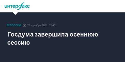 Вячеслав Володин - Госдума завершила осеннюю сессию - interfax.ru - Москва