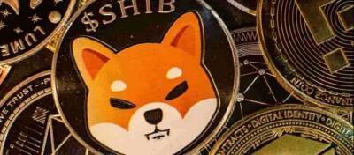 В Австралии крупнейшая криптобиржа CoinJar добавила в листинг мем-токен Shiba Inu - altcoin.info - Австралия