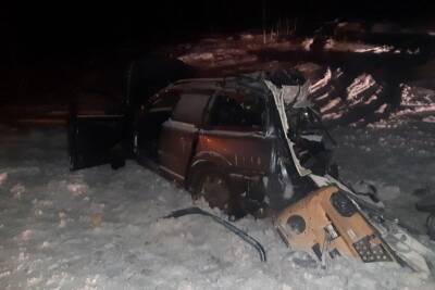 В Зауралье делом о гибели 6-месячного ребенка займется СК - kikonline.ru - Россия - Курганская обл. - Самарская обл. - район Кетовский