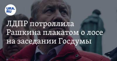 Вячеслав Володин - Валерий Рашкин - Владимир Жириновский - ЛДПР потроллила Рашкина плакатом о лосе на заседании Госдумы - ura.news - Россия