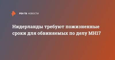 Сергей Лавров - Нидерланды требуют пожизненные сроки для обвиняемых по делу МН17 - ren.tv - Россия - Украина - Голландия