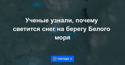 Александр Семенов - Ученые узнали, почему светится снег на берегу Белого моря - news.mail.ru