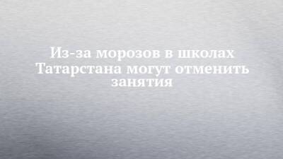 Из-за морозов в школах Татарстана могут отменить занятия - chelny-izvest.ru - респ. Татарстан