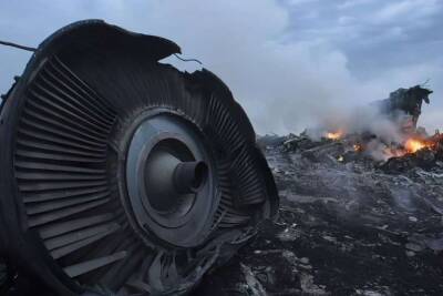 Леонид Харченко - В Нидерландах требуют дать пожизненное виновникам катастрофы MH17 - lenta.ua - Россия - Украина - Голландия