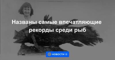Названы самые впечатляющие рекорды среди рыб - news.mail.ru - США - шт.Флорида
