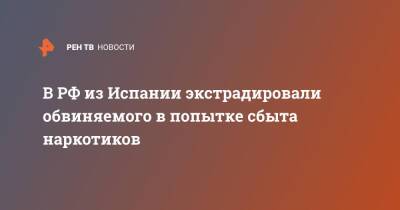 В РФ из Испании экстрадировали обвиняемого в попытке сбыта наркотиков - ren.tv - Москва - Россия - Санкт-Петербург - Испания