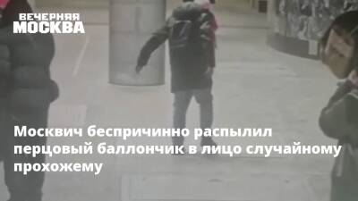 Владимир Васенин - Москвич беспричинно распылил перцовый баллончик в лицо случайному прохожему - vm.ru - Москва - Россия - Москва