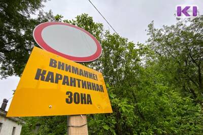 Наталья Хозяинова - Игорь Дягилев - В Сыктывкаре подобрали участок под вирусный центр - komiinform.ru - Сыктывкар