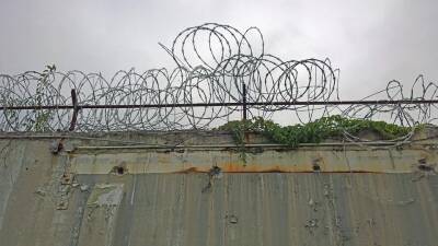 Ева Меркачева - В СПЧ не поддержали возвращение смертной казни для педофилов - sib.fm - Россия