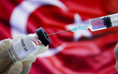 Реджеп Тайип Эрдоган - Тайип Эрдоган - Константин Шапиро - В Турции одобрили применение отечественной вакцины от коронавируса - trend.az - Турция