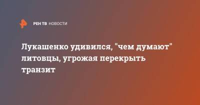 Александр Лукашенко - Лукашенко удивился, "чем думают" литовцы, угрожая перекрыть транзит - ren.tv - Белоруссия - Германия - Польша - Литва