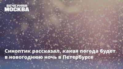 Михаил Леус - Синоптик рассказал, какая погода будет в новогоднюю ночь в Петербурге - vm.ru - Санкт-Петербург - Санкт-Петербург