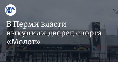 В Перми власти выкупили дворец спорта «Молот» - ura.news - Пермь - Пермский край