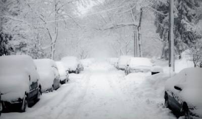 Петербуржцы обвинили Комблага во лжи относительно уборки снега на улицах города - mirnov.ru