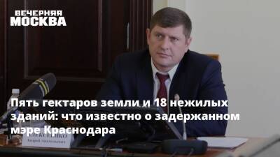 Андрей Алексеенко - Пять гектаров земли и 18 нежилых зданий: что известно о задержанном мэре Краснодара - vm.ru - Москва - Краснодарский край - Краснодар