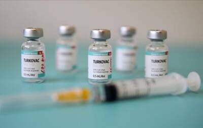 Реджеп Турции - Фахреттин Коджа - В Турции разрешили использовать собственную COVID-вакцину - korrespondent.net - Украина - Турция