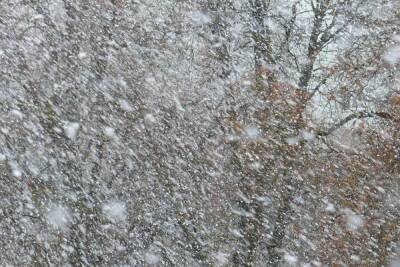 Снег и метель ожидаются в Карелии - karel.mk.ru - городское поселение Петрозаводский - республика Карелия