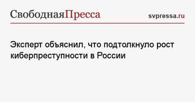 Юрий Жданов - Эксперт объяснил, что подтолкнуло рост киберпреступности в России - svpressa.ru - Россия