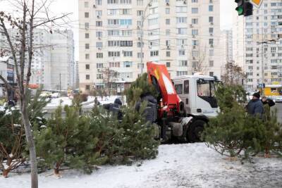 В Киеве началась борьба с незаконной продажей елок - lenta.ua - Украина - Киев - Киев