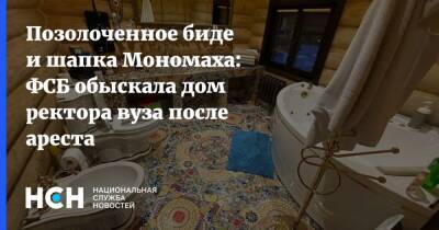 Позолоченное биде и шапка Мономаха: ФСБ обыскала дом ректора вуза после ареста - nsn.fm - Смоленск