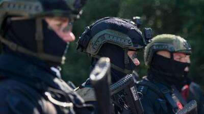 От «Рыси» до «Карателя»: главные боевые ножи элитных подразделений ВС России - inforeactor.ru - Россия