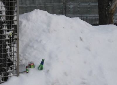 «Провалился по горло, только шапка торчала»: водитель в Югре вытащил ребенка из сугроба (видео) - rosbalt.ru - Ханты-Мансийск - Югра