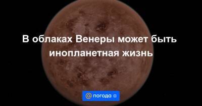 В облаках Венеры может быть инопланетная жизнь - news.mail.ru