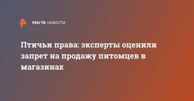 Птичьи права: эксперты оценили запрет на продажу питомцев в магазинах - ren.tv