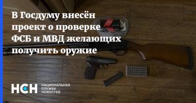 Александр Хинштейн - В Госдуму внесён проект о проверке ФСБ и МВД желающих получить оружие - nsn.fm