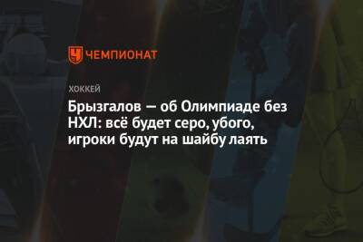 Илья Брызгалов - Брызгалов — об Олимпиаде без НХЛ: всё будет серо, убого, игроки будут на шайбу лаять - championat.com - Россия