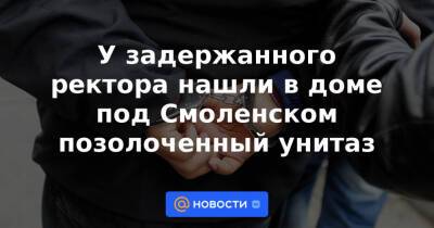 У задержанного ректора нашли в доме под Смоленском позолоченный унитаз - news.mail.ru - Смоленск