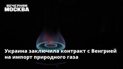 Венгрия - Украина заключила контракт с Венгрией на импорт природного газа - vm.ru - Украина - Венгрия